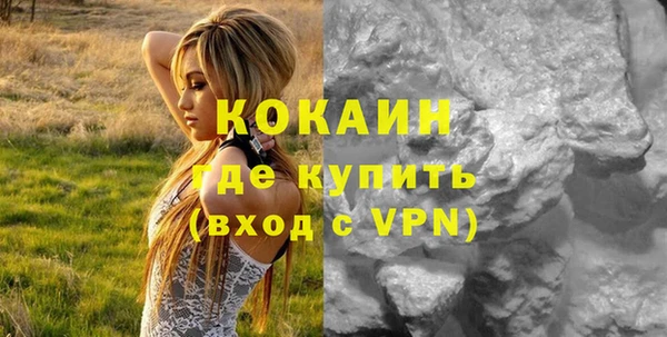 шишки Балахна
