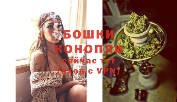 шишки Балахна